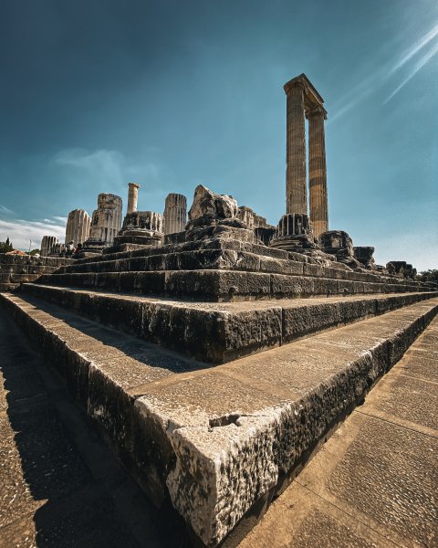 Fotoğraf