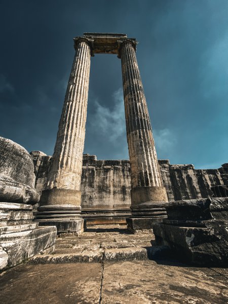 Fotoğraf