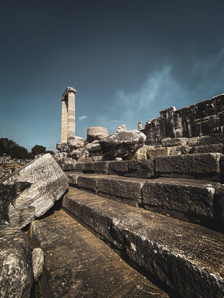 Fotoğraf