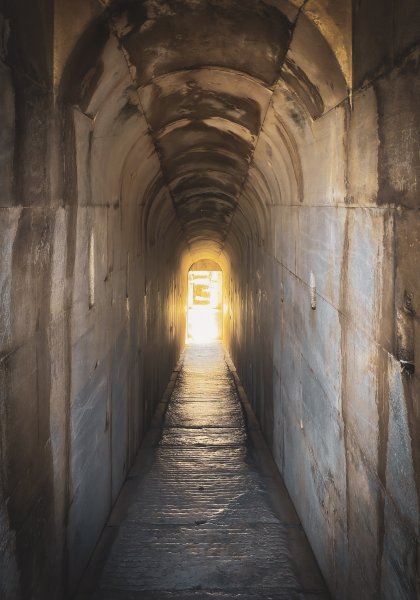 Fotoğraf