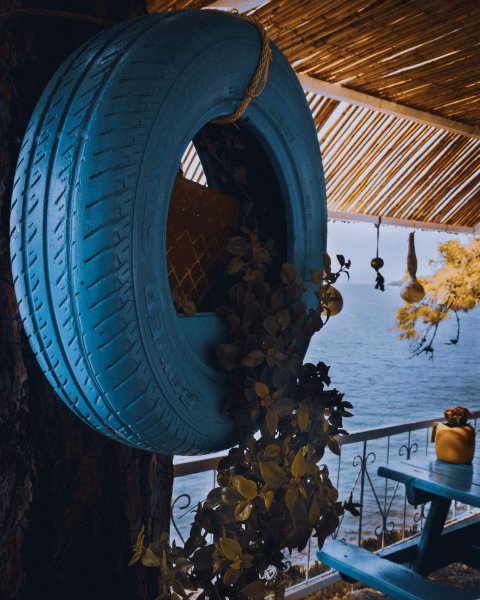 Fotoğraf