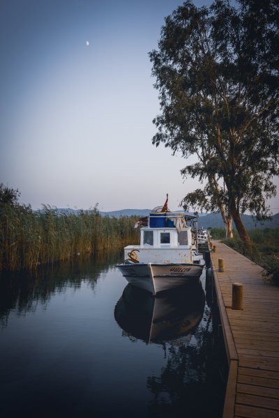Fotoğraf