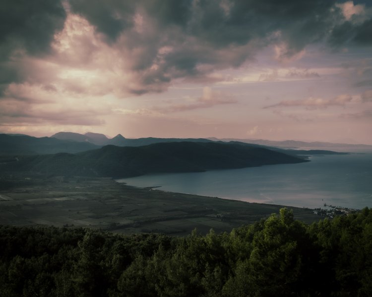 Fotoğraf