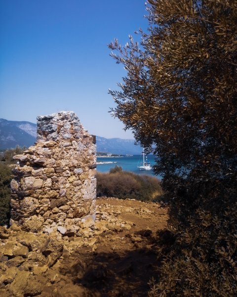 Fotoğraf