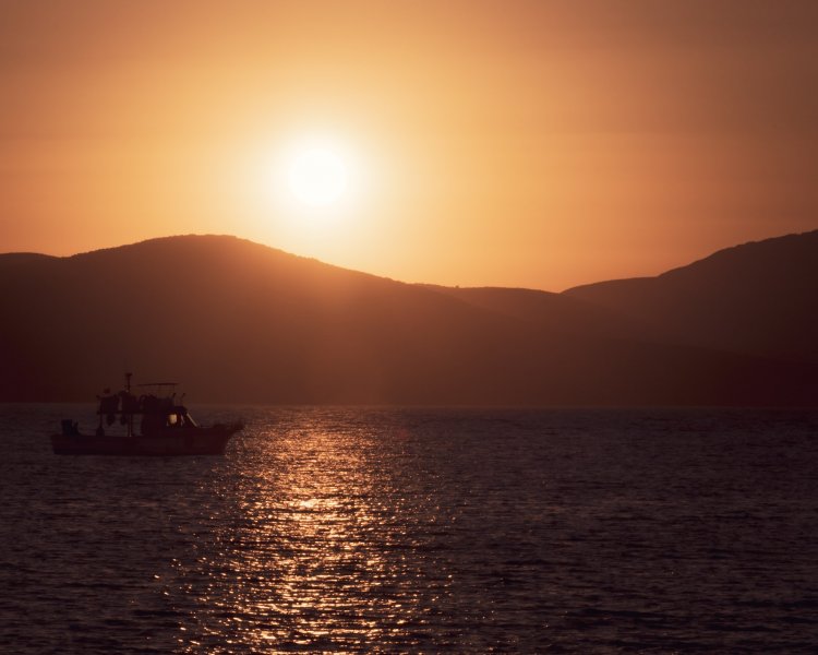 Fotoğraf