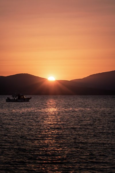 Fotoğraf