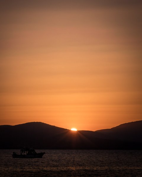 Fotoğraf