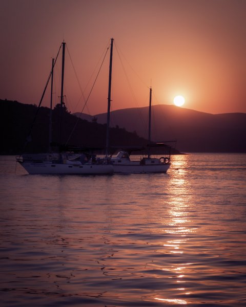 Fotoğraf