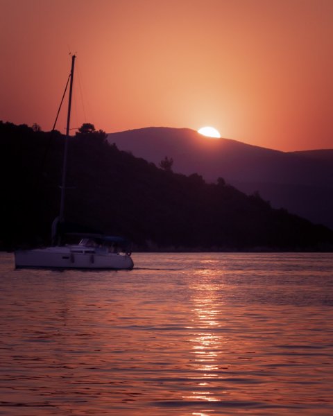 Fotoğraf