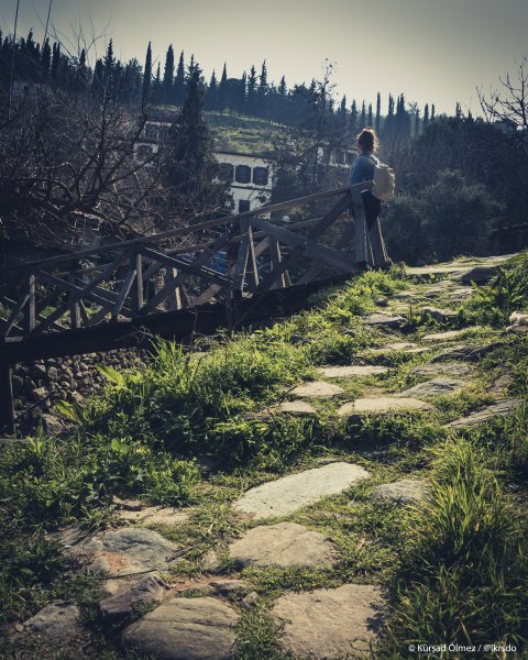 Fotoğraf