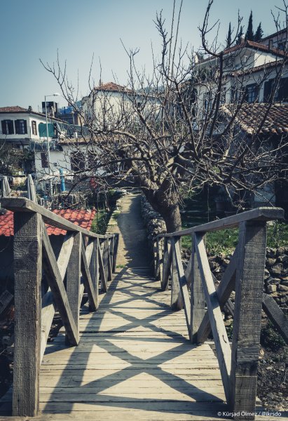 Fotoğraf