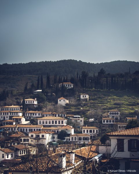 Fotoğraf
