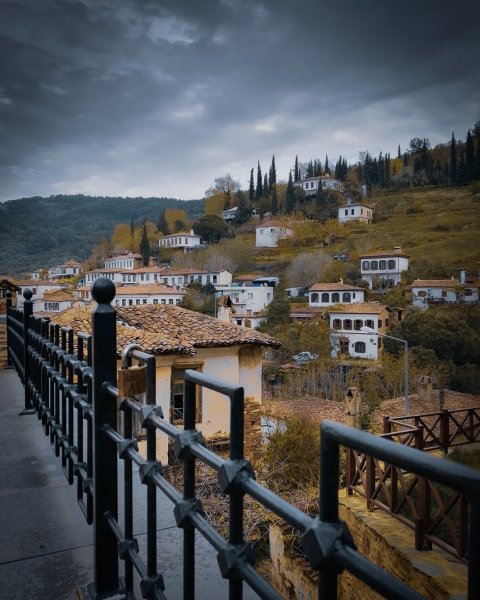 Fotoğraf