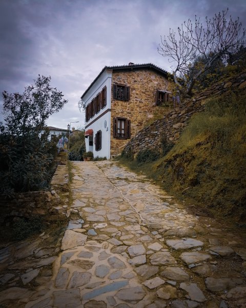 Fotoğraf