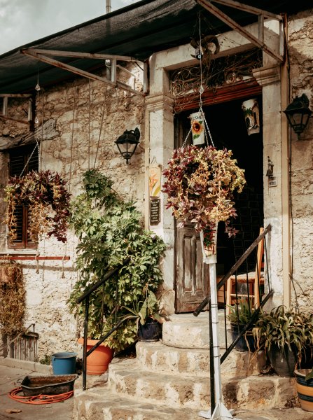 Fotoğraf