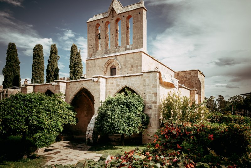 Fotoğraf