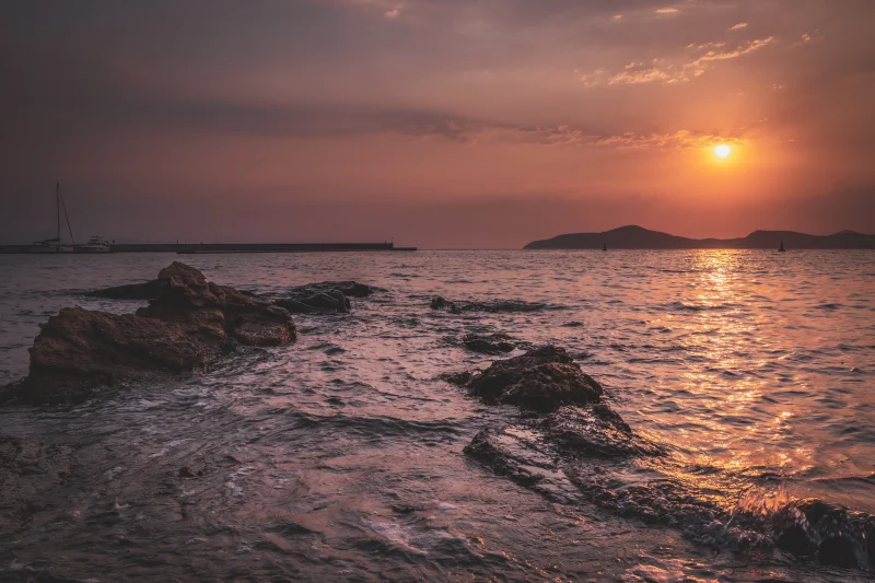 Fotoğraf