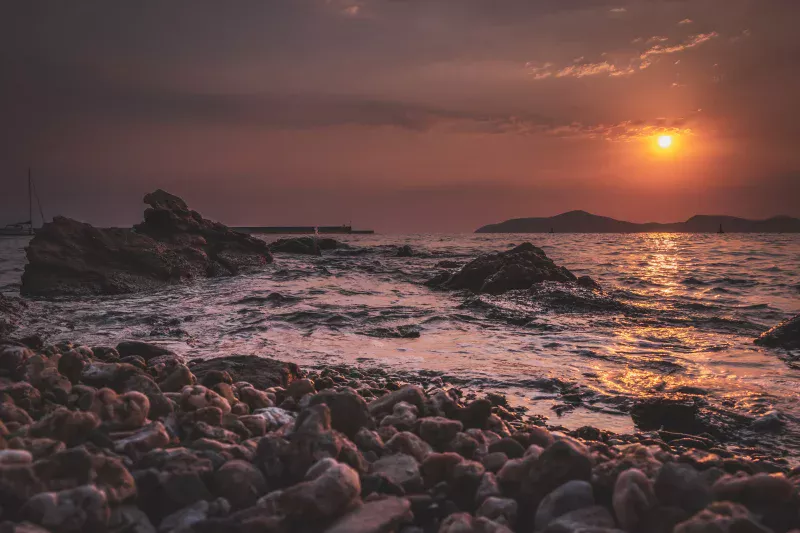 Fotoğraf