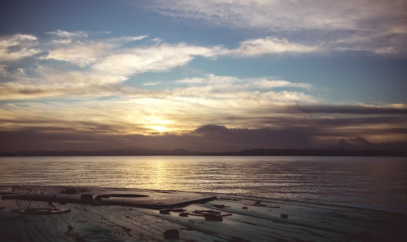 Fotoğraf