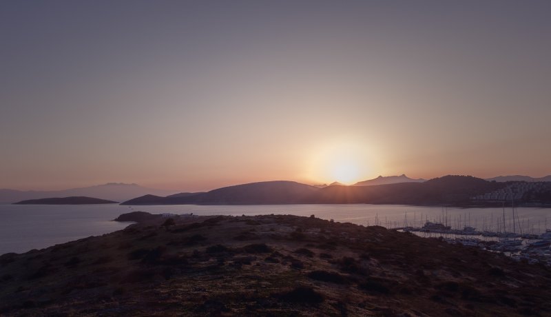 Fotoğraf