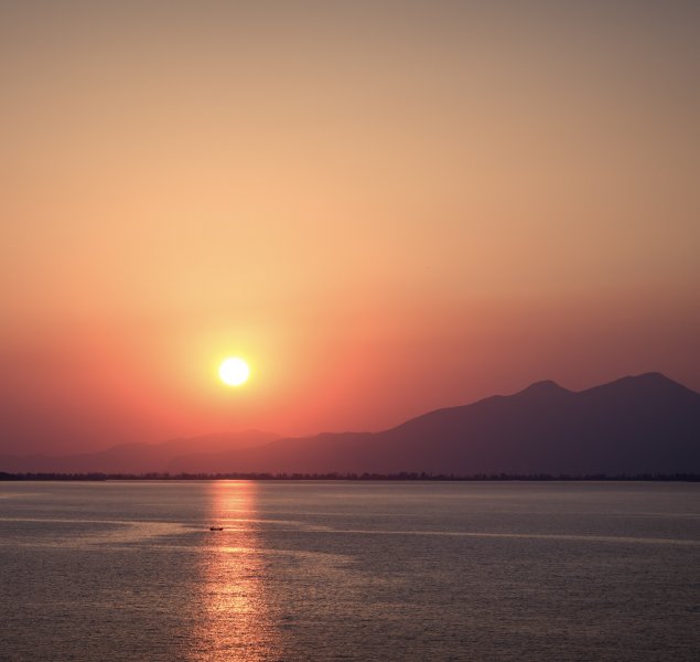 Fotoğraf