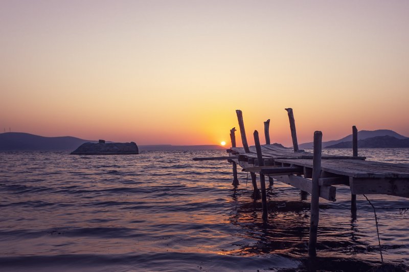 Fotoğraf