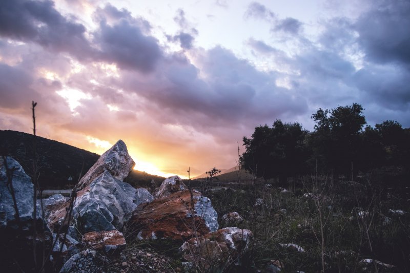 Fotoğraf