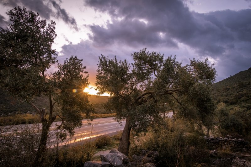 Fotoğraf