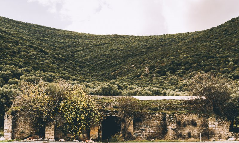 Fotoğraf