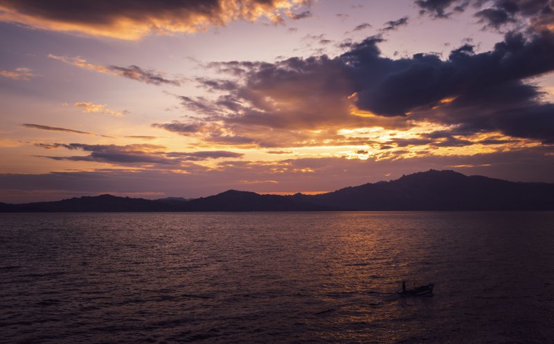 Fotoğraf