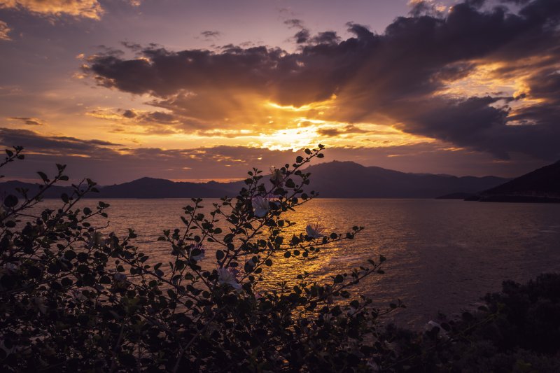 Fotoğraf