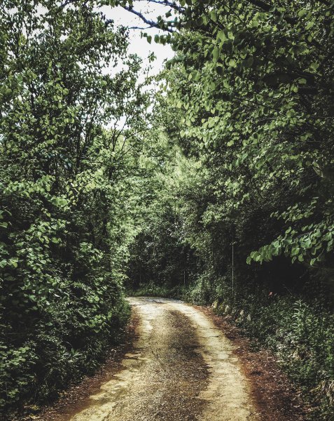 Fotoğraf