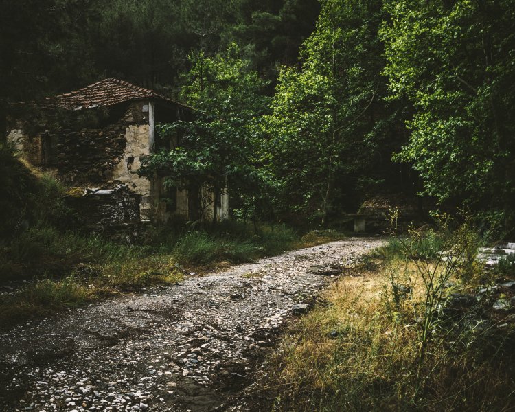 Fotoğraf