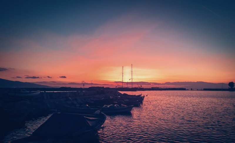 Fotoğraf