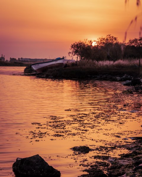 Fotoğraf