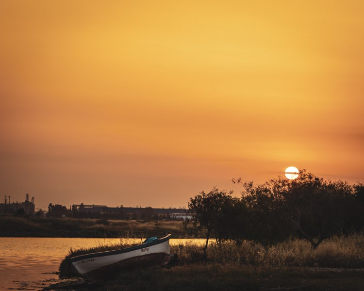 Fotoğraf