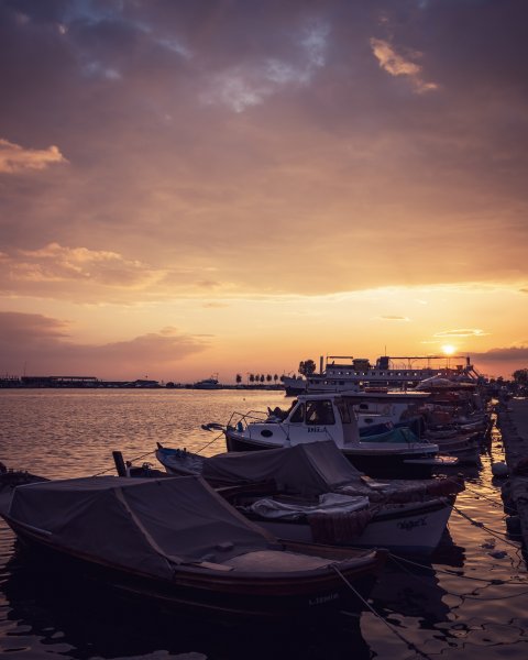 Fotoğraf