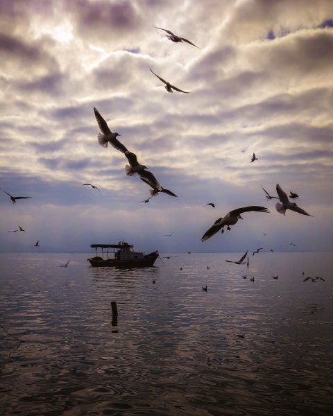 Fotoğraf