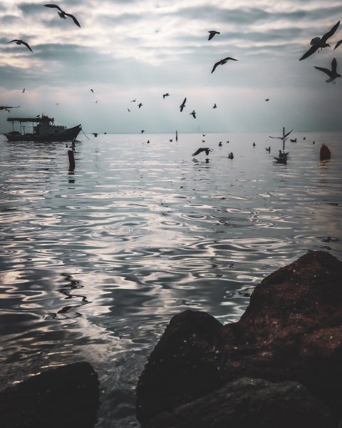 Fotoğraf