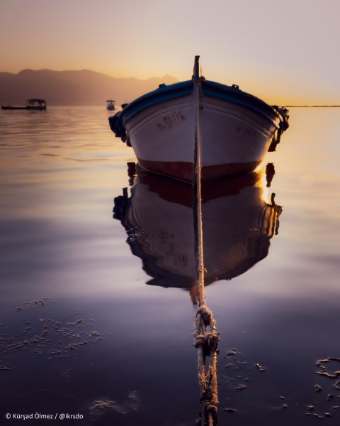 Fotoğraf