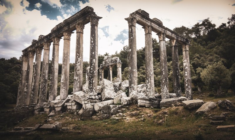 Fotoğraf