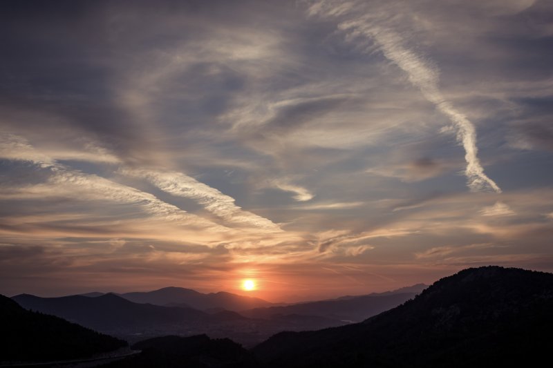 Fotoğraf