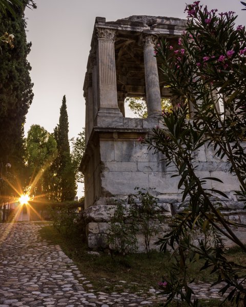 Fotoğraf