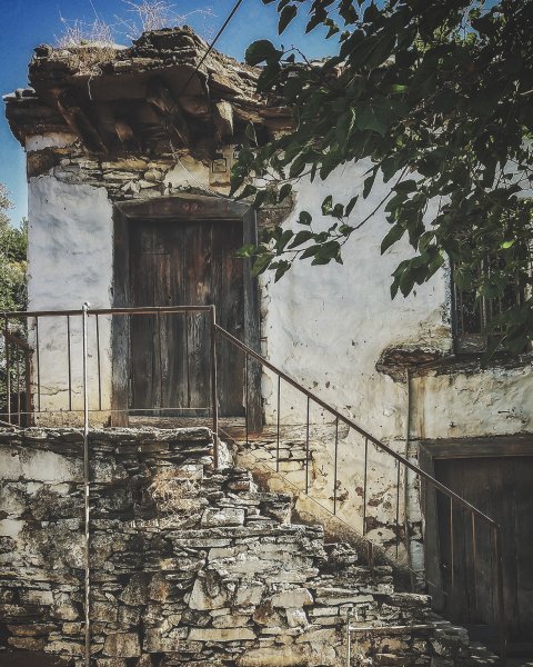 Fotoğraf