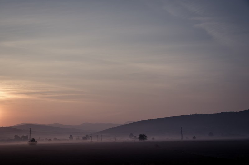 Fotoğraf