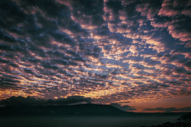 Fotoğraf