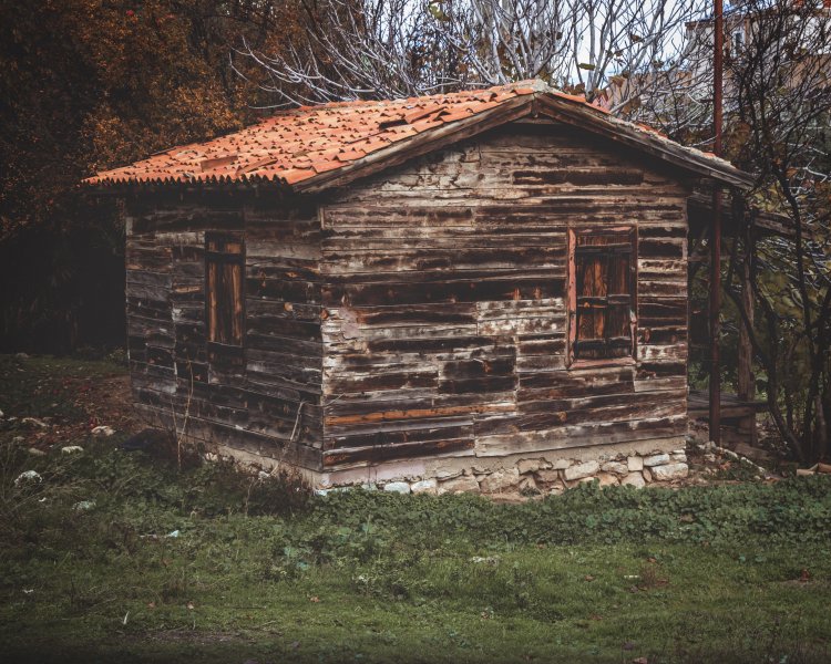 Fotoğraf