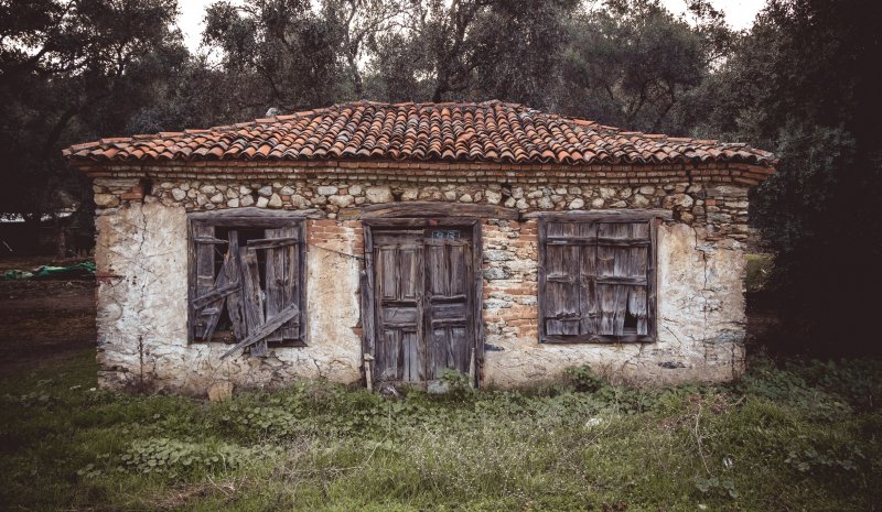 Fotoğraf