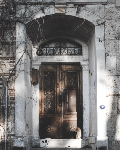 Fotoğraf