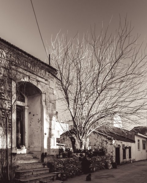 Fotoğraf